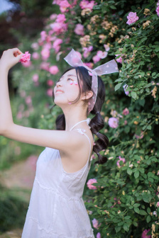 终结杉计划
